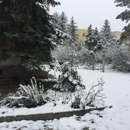 Next To University Ντέμπρετσεν Εξωτερικό φωτογραφία
